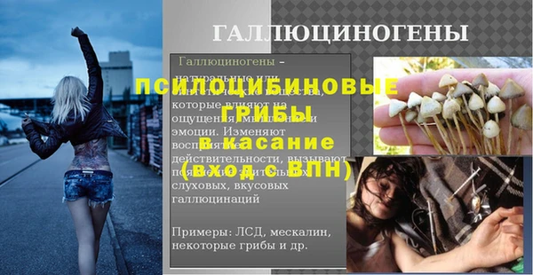 гашик Аркадак