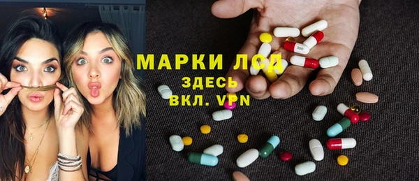 гашик Аркадак