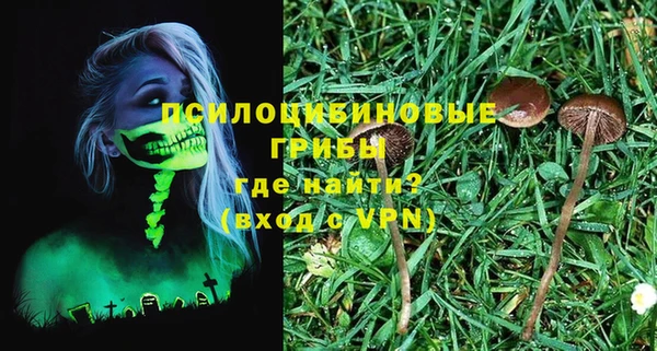 гашик Аркадак