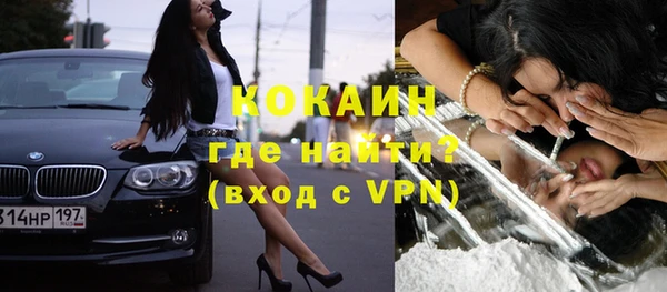 гашик Аркадак