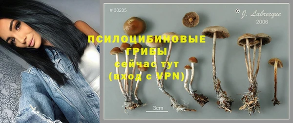 мескалин Арсеньев
