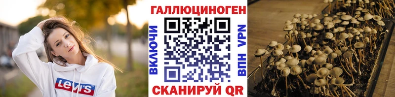 Псилоцибиновые грибы Cubensis  как найти наркотики  Углегорск 